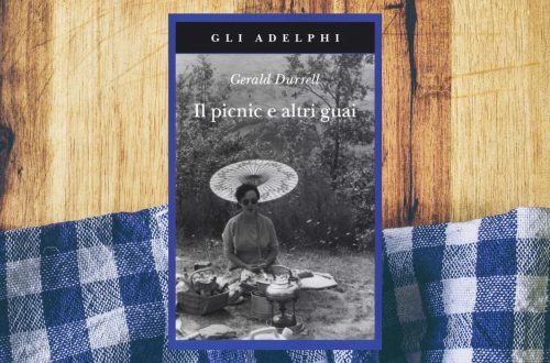 Il picnic e altri guai